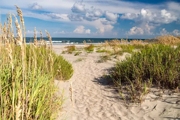 海の草で覆われた砂丘を通って海への道 地平線上の海と雲 — ストック写真