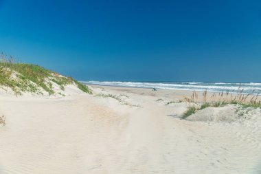 Çimenli kum tepeleri ve Kuzey Carolina 'da Atlantik Okyanusu' nda bir plaj..
