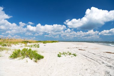 Çimenli kum tepeleri ve Kuzey Carolina 'da Atlantik Okyanusu' nda bir plaj..
