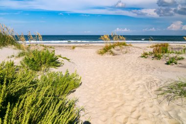 Deniz otlarıyla kaplı kumulların arasından okyanusa giden yol. Okyanus ve bulutlar ufukta.
