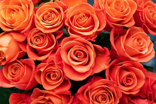 Букет Червоних Троянд Вид Зверху Природний Фон Листівки — стокове фото