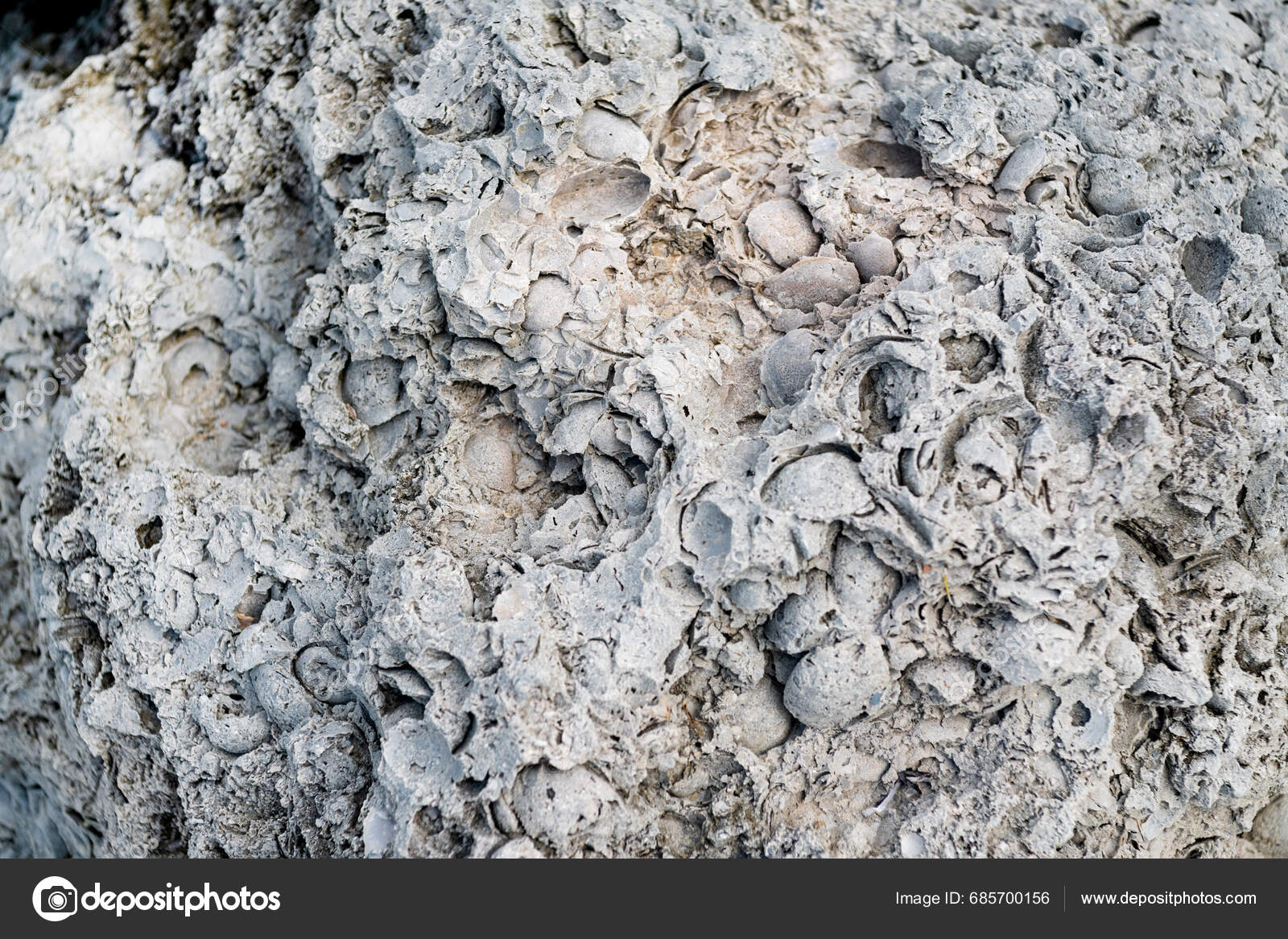 Light Limestone Slab Shell Marks Shell Rock Texture Natural Stone Stock ...