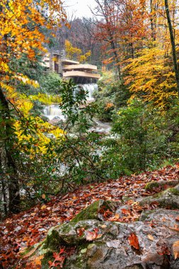 Maryland, Cumberland 'in tarihi merkezinde eski renkli evleri olan yangın musluğu ve sokak. Eski Amerika 'nın mimarisi.