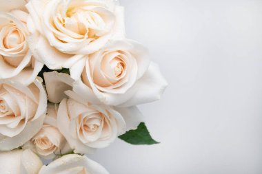 Çiy damlalı taze beyaz güller, metin için yer.