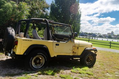 Yeşil ağaçların yakınındaki çimlere park edilmiş sarı eski bir cip..