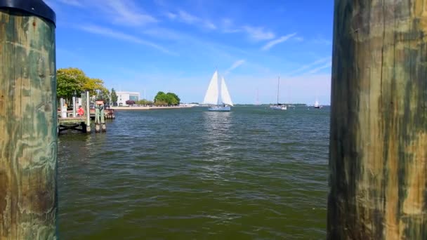 湾の白いヨットが付いている湾の眺め モーニング柱とピアに沿ったカメラの動き — ストック動画