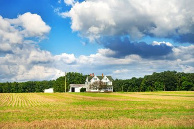 Bulutların altındaki biçilmiş bir tarlada çiftçinin evi. Yaz köyü manzarası.