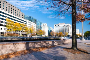 Washington DC 'nin sonbahar şehri. Geniş sokaklar, yüksek binalar..