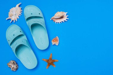 Timsahlar mavi arka planda kabuklu parmak arası terlik giyerler. Rahat unisex plaj ayakkabıları.