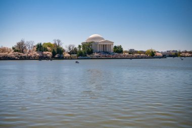 Washington 'daki Kiraz Çiçeği Festivali sırasında Jefferson Memorial.