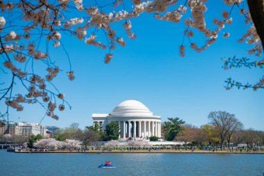 Washington 'daki Kiraz Çiçeği Festivali sırasında Jefferson Memorial.