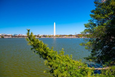 Washington Anıtı, gelgit havzası ve ilkbaharda çiçek açan kiraz ağaçları, Washington D.C..