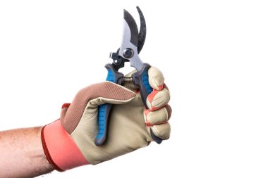 Eldivenli el bir bahçe budama makinesi tutuyor. Beyaz bir arkaplanda izole edilmiş