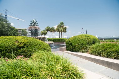 Charleston, SC 'nin tarihi bölgesinde bir çeşme..