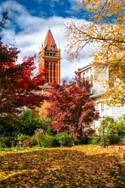 Maryland 'deki eski Amerikan kasabası Cumberland' ın sonbahar renkleri.
