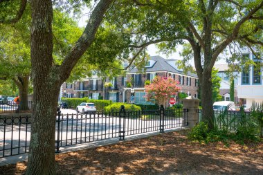 Güney Carolina 'daki eski Charleston kasabasında tarihi binalar ve yapraklı caddeler.