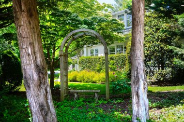 Güzel yeşil bir bahçedeki ağacın altındaki ahşap pergola. Bahçenin gölgesinde güzel bir çardak.