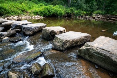Nehrin ortasındaki basamak hattı. Ormanda bir nehri geçmek.