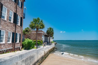 Güneşli bir günde Güney Carolina 'daki Charleston Limanı manzarası.