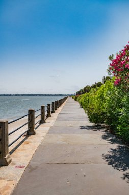 Güneşli bir günde Güney Carolina, Charleston Limanı 'nda rıhtım. Turistik bir yer..