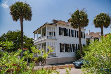 Güney Carolina, Charleston 'ın eski kesiminde uzun palmiye ağaçları ve tarihi binalar..