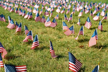 Bağımsızlık Günü 'nde rüzgarda çimlerin üzerinde birçok Amerikan bayrağı gelişir..