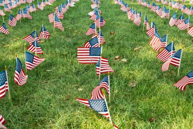 Anma Günü kutlamaları sırasında çimlerin üzerinde Amerikan bayrakları vardı.