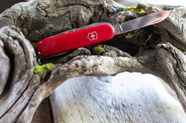 Kırmızı Victorinox cebi, İsviçre çakısı ve açık bir bıçak, tahta bir kütüğün üzerinde duruyor..