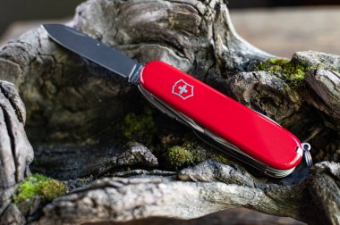 Kırmızı Victorinox cebi, İsviçre çakısı ve açık bir bıçak, tahta bir kütüğün üzerinde duruyor..