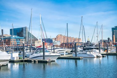 Baltimore 'un İç Limanı' nda yatlar. Şehrin iş alanındaki gökdelenlerle kıyı şeridi.