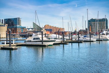 Baltimore, Maryland 'in gökdelenlerine karşı marina.