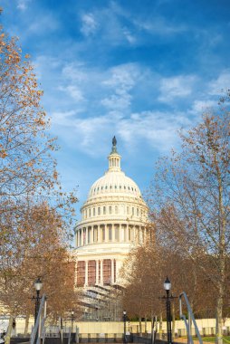 Washington DC 'deki Washington Capitol Binası. Hükümet binası Capitol Hill 'de..