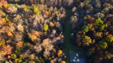 Doğanın ve Virginias 'taki sonbahar ormanlarının havadan görünüşü. Sonbahar yapraklarının parlak renkleri.