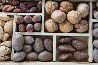 Bir kutudaki arka plan olarak farklı fındıklar grubu