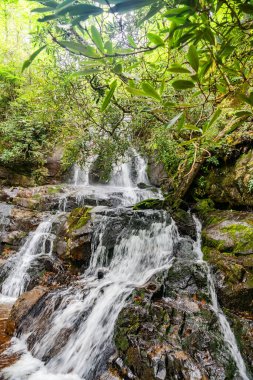 Virginia 'da bir ormanda kayaların arasında şelale.