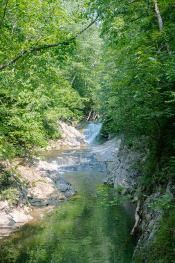 Ağustosta Virginia 'da bir milli parkta nehir.