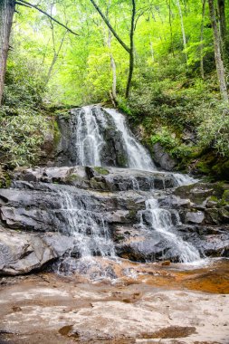 Virginia 'da bir ormanda kayaların arasında şelale.