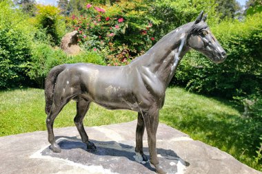 Yeşil bahçedeki güzel ince bir atın heykeli..