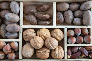Kutudaki çeşitli fındıklar - kaju, macadamia, fıstık, ceviz, Brezilya fındığı, fındık