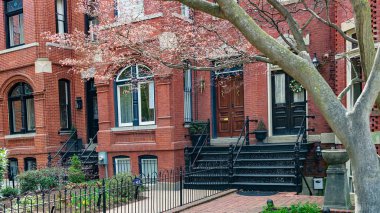 Washington DC Townhouse Mimarlık, Brick Townhouse 'un satırı verandalı ve bahçe düzenlemeli.