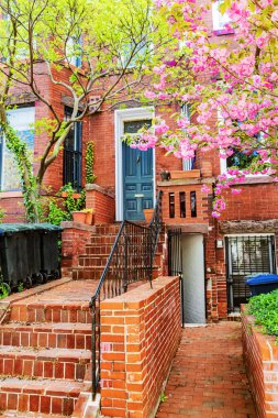 Bir konağın ön kapısında kiraz çiçekleri açar..