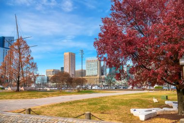 Baltimore 'un iç liman bölgesindeki rıhtımda yürüyüş yolları. Peyzaj tasarımı, banklar ve oturma alanları.