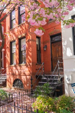 Tuğla konağın ön kapısında kiraz çiçekleri var. .