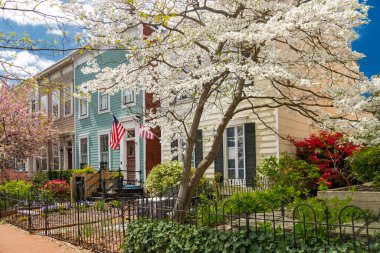 Washington DC 'de bir sıra tuğla ev boyunca kaldırımda kiraz çiçekleri açıyor..