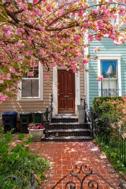 Evin bahçesinin manzarası çok güzel. Peyzaj ve kiraz çiçekleri var..