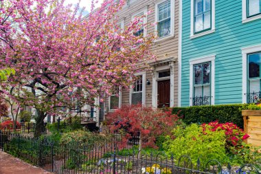 Evin bahçesinin manzarası çok güzel. Peyzaj ve kiraz çiçekleri var..