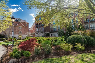 Annapolis 'te peyzaj yapan modern tuğla evler, MD.