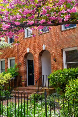 Tuğla konağın ön kapısında kiraz çiçekleri var. .