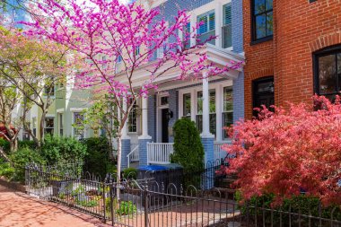 Kırmızı tuğlalı bir konağın ön bahçesinde pembe kiraz çiçekleri.