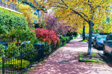 Çevresi manzaralı tuğla evler boyunca kırmızı tuğladan kaldırım.